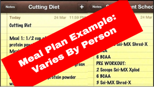 Meal Plan Examples: Varies based on the needs of the person